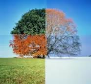 Monthly Seasonality – Best day(s) of Month to Invest